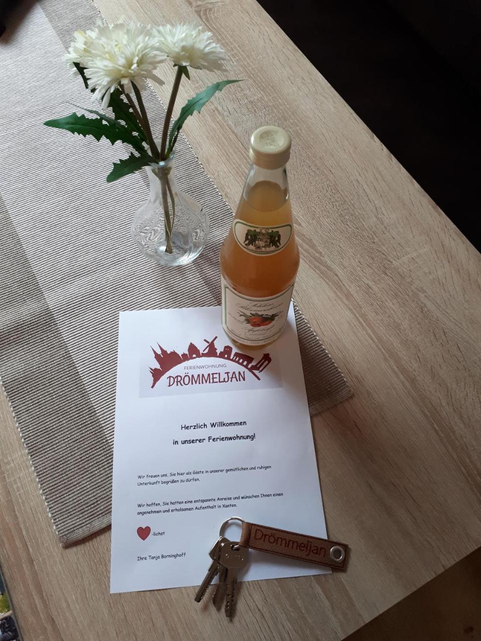 Ferienwohnung Droemmeljan Xanten Εξωτερικό φωτογραφία